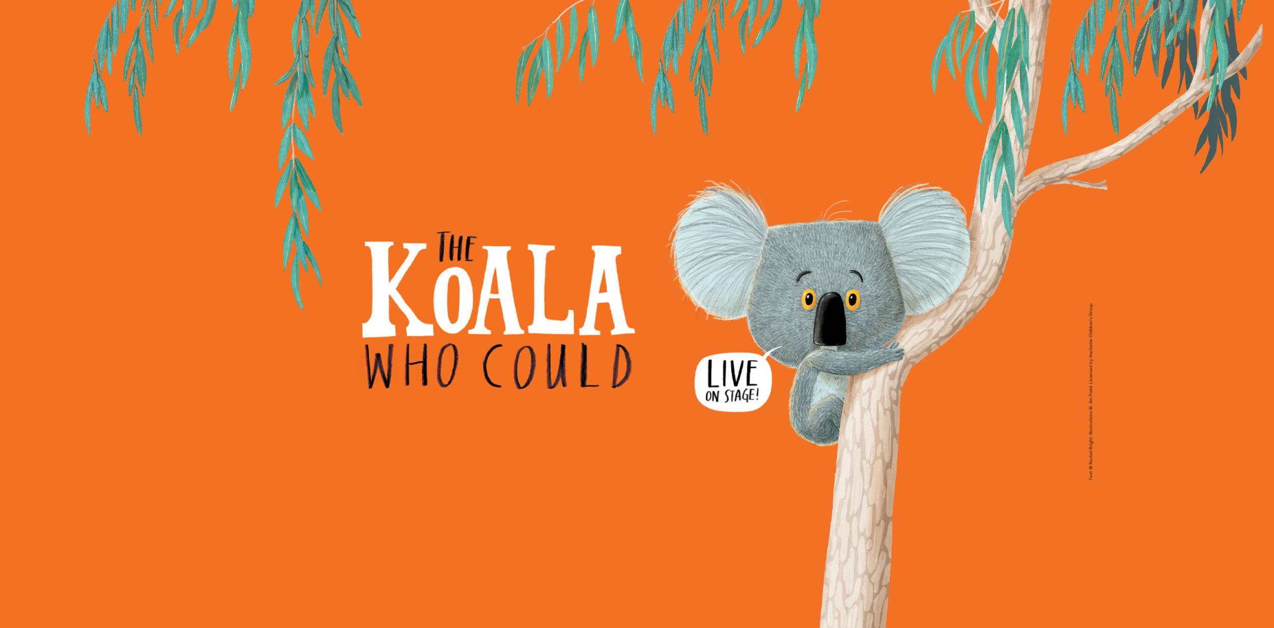 A children's illustration of a koala bear