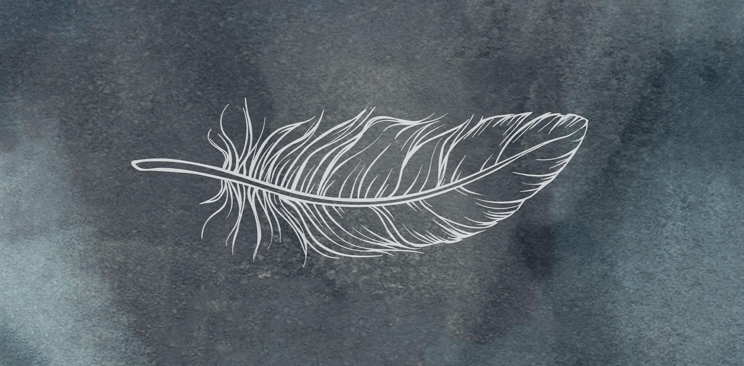 Illustration of a feather