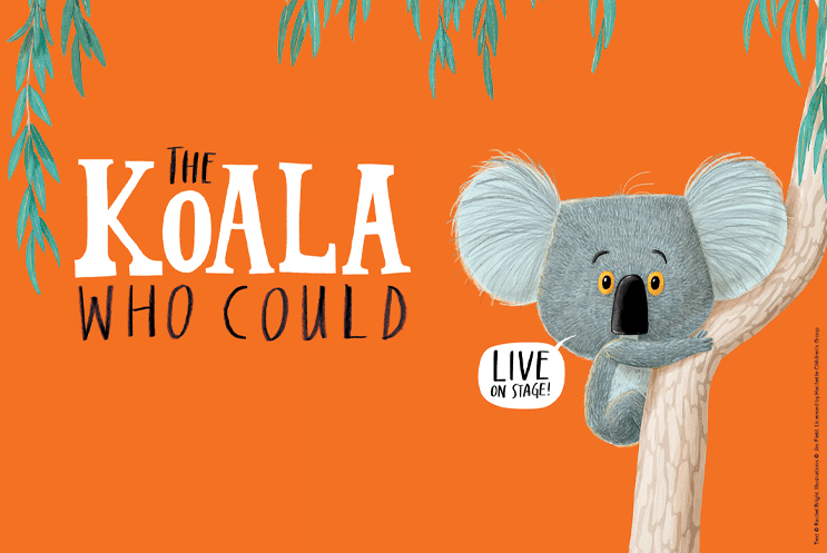 A children's illustration of a koala bear